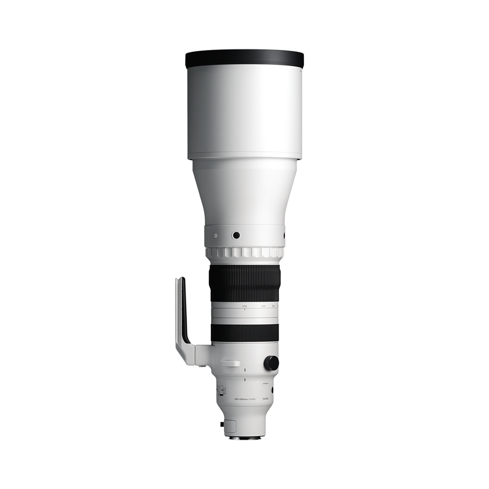 300-600mm F4 DG OS