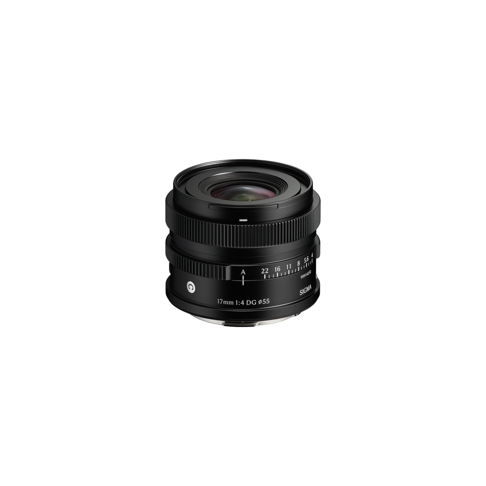 17mm F4 DG