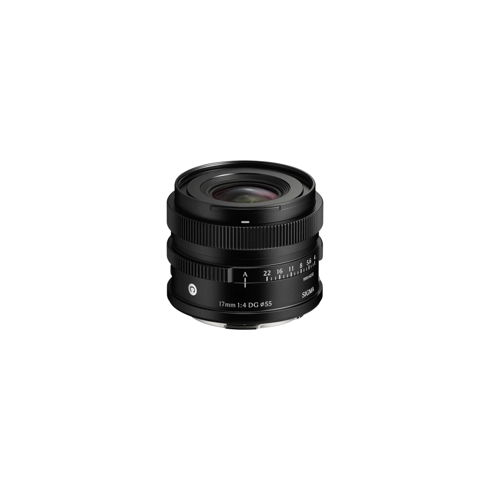 17mm F4 DG